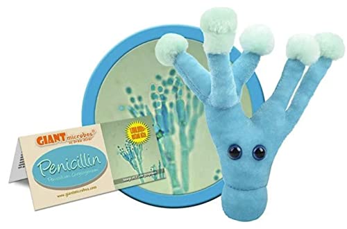 Giant Microbes Penicillin (Penicillium Chrysogenum) Plush Toy by Giant Microbes von GIANTmicrobes