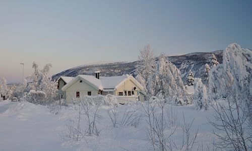 GLHUIOZ Puzzles für Erwachsene 1500 Teile, Puzzle, Holzpuzzles, Familiendekoration, Norwegen Kleine Städte 87x57cm GLHUIOZ Puzzles für Erwachsene 1500 Teile, Puzzle, Holzpuzzles, Familiendekoration, Norwegen Kleine Städte 87x57cm von GLHUIOZ