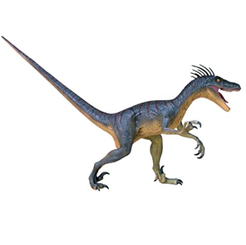 Pädagogisches Modellpuzzle Zusammengesetztes Spielzeug Tier Dinosaurier Große Raptor Organanatomie Geeignet Für Medizinisches Lehrmodell, Medizinische Modelle von GLJTUO