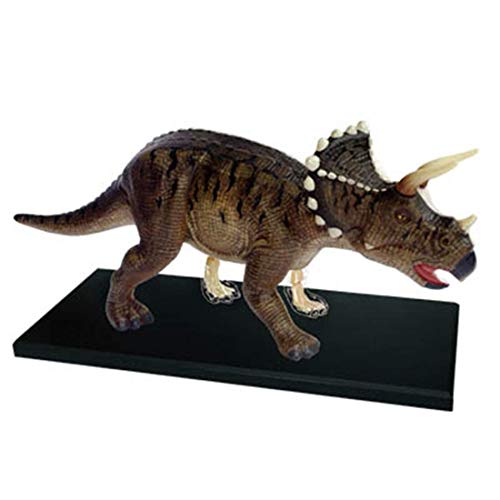 Pädagogisches Modellpuzzle Zusammengesetztes Spielzeug Tier Dinosaurier Triceratops Organanatomie Medizin Geeignet Für Unterrichtsmodelle, Medizinische Modelle von GLJTUO