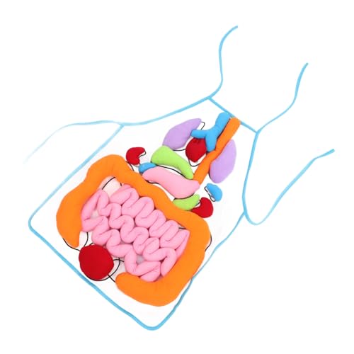 GLSTOY 1 Satz Orgelschürze Kinderspielzeug menschliche anatomie schürze lehrreich 3D-Puzzle sportgel The pe 3D menschliche Organe Schürze Hilfsmittel für den Vorschulunterricht Plüsch von GLSTOY