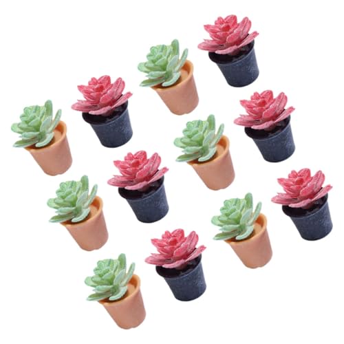 GLSTOY 12 Stück Teiliges Miniatur Pflanzen Künstliche Topfpflanzen Mini Bonsai Dekoration für Puppenhaus DIY Mini Garten Zimmer Naturgetreu und Vielseitig für Wohn und Arbeitsräume GLSTOY 12 Stück Teiliges Miniatur Pflanzen Künstliche Topfpflanzen Mini Bonsai Dekoration für Puppenhaus DIY Mini Garten Zimmer Naturgetreu und Vielseitig für Wohn und Arbeitsräume von GLSTOY