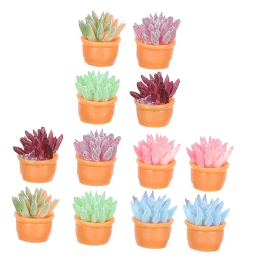 GLSTOY 12 Stück Teiliges Miniatur Sukkulenten Künstliche Mini Bonsai in Mini Töpfen Realistische Mikro Landschaftsdekoration für Puppenhaus und Zimmerdeko GLSTOY 12 Stück Teiliges Miniatur Sukkulenten Künstliche Mini Bonsai in Mini Töpfen Realistische Mikro Landschaftsdekoration für Puppenhaus und Zimmerdeko von GLSTOY
