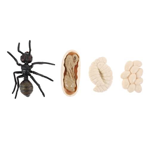 GLSTOY Ameisen Lebenszyklus Modell Realistisches Umweltfreundliches Kunststoffspielzeug Pädagogische Spielfigur für Fördert Naturwissenschaftliches Lernen und Frühe Bildung GLSTOY Ameisen Lebenszyklus Modell Realistisches Umweltfreundliches Kunststoffspielzeug Pädagogische Spielfigur für Fördert Naturwissenschaftliches Lernen und Frühe Bildung von GLSTOY