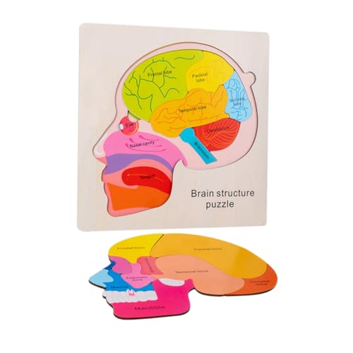 GLSTOY Holz Puzzle Gehirnstruktur Lernspielzeug für Kleinkinder Mehrschichtiges Montessori Sensorikspielzeug Pädagogisches Vorschulspielzeug Kreativität und Feinmotorik GLSTOY Holz Puzzle Gehirnstruktur Lernspielzeug für Kleinkinder Mehrschichtiges Montessori Sensorikspielzeug Pädagogisches Vorschulspielzeug Kreativität und Feinmotorik von GLSTOY