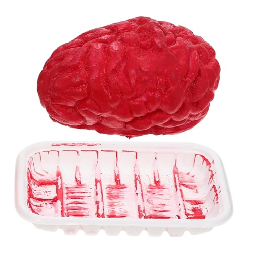 GLSTOY Realistisches Halloween Körperorgan Deko Verschleißfestes Gehirn und Herz Attrappe für Gruselige Partydekoration Stimmung für Halloween Fest und Kostümparty GLSTOY Realistisches Halloween Körperorgan Deko Verschleißfestes Gehirn und Herz Attrappe für Gruselige Partydekoration Stimmung für Halloween Fest und Kostümparty von GLSTOY