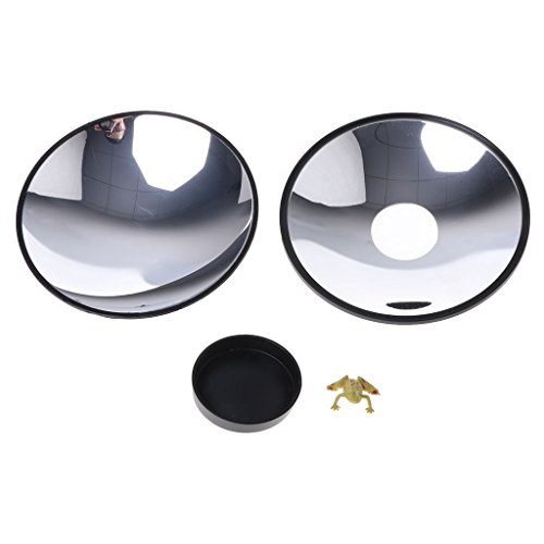 GMBYLBY Kinder Simuliertes Physik Bildungsspielzeug Optisch Hologramm Wissenschaft Magie Spielzeug Kinder Geschenk Tragbares Bildungsspielzeug Finger Skateboard GMBYLBY Kinder Simuliertes Physik Bildungsspielzeug Optisch Hologramm Wissenschaft Magie Spielzeug Kinder Geschenk Tragbares Bildungsspielzeug Finger Skateboard von GMBYLBY