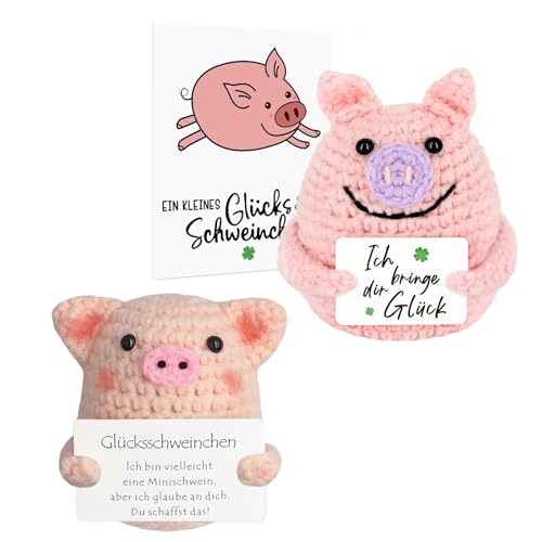 GMXJGZ Glücksbringer 2 PCS Glücksbringer Prüfung Gute Besserung Geschenke Glücksschwein Glücksbringer-Untersuchungsgeschenk Lustige Geschenke für Freund Freundin Familie Freunde Patienten von GMXJGZ