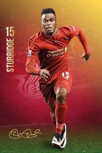 1000 Teile Puzzle Liverpool-Sturridge 16/17-Sport Fußball Holz Puzzle Erwachsene Stress Freisetzung Spiel 1000 Piece 29.5x19.6inch(75x50cm) Kein Rahmen von GQJXUANYU