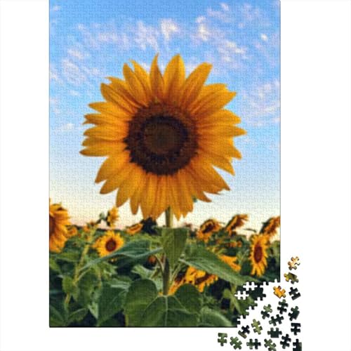 Puzzle 300 Teile für Erwachsene, Sonnenblume auf Feld, Natur, quadratisches Puzzle für Erwachsene, Holzpuzzle, Erwachsene und 300 Teile (40 x 28 cm) von GQmoney