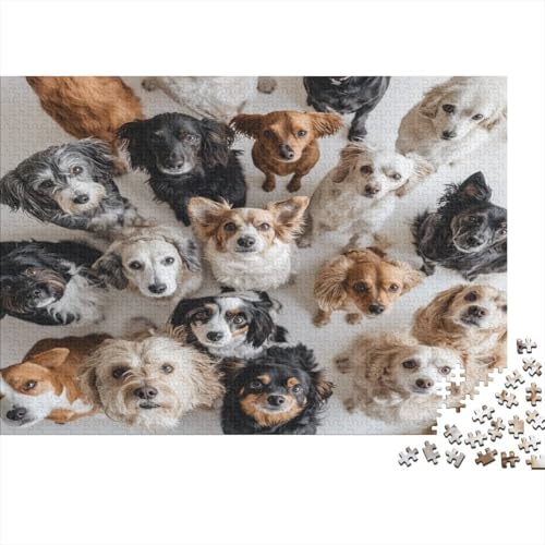 Erwachsenen-Puzzle 1000 Teile - Hunde-Liebhaber Design Auf Holz - 75x50 cm Großes Puzzle in Premium Qualität - Professionelles Strategiespiel von GRBASNDOU