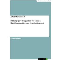 Bildungsgerechtigkeit in der Schule. Handlungsansätze von Schulsozialarbeit von GRIN