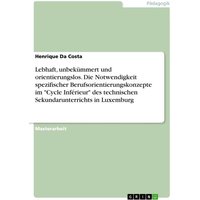 Lebhaft, unbekümmert und orientierungslos. Die Notwendigkeit spezifischer Berufsorientierungskonzepte im 'Cycle Inférieur' des technischen Sekundarunt von GRIN