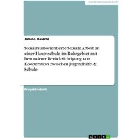 Sozialraumorientierte Soziale Arbeit an einer Hauptschule im Ruhrgebiet mit besonderer Berücksichtigung von Kooperation zwischen Jugendhilfe & Schule von GRIN