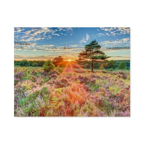 1000 Puzzles Für Erwachsene，Heide im Sonnenuntergang，Freizeit Unterhaltung Kinder Spielzeug Zuhause Dekoration Art（38x26cm）-B71 von GSBRSNTS