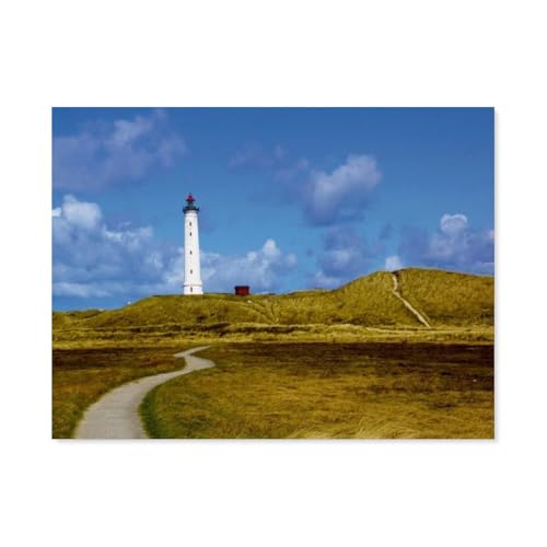 1000 Stück Puzzle，Blick auf den Leuchtturm Lyngvig Fyr，Erwachsene Kinder Holz Spielzeug Lernspiel（75x50cm）-F98 von GSBRSNTS