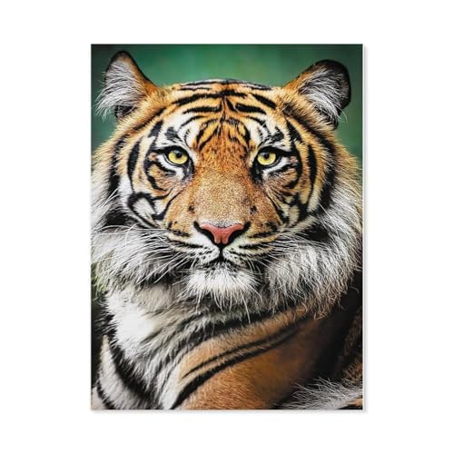 1000 Stück Puzzle，Tiger，Erwachsene Holz Puzzles, Kinder Entdecken Sie Kreativität Wandkunst Dekor Spielzeug（75x50cm）-D92 von GSBRSNTS