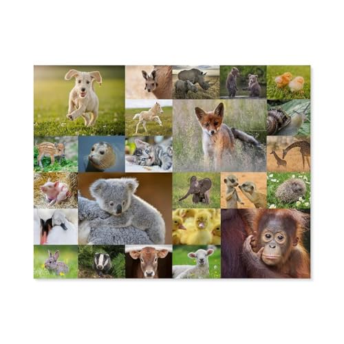 1000-Stück Puzzle Für Erwachsene Und Kinder-Holz Puzzle，Süße Tierbabys，Familie Interaktive Spiele Große Ferien Freizeit（75x50cm）-B3 von GSBRSNTS