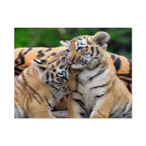 1000Pcs，Tiger，Jigsaw Adult Decompression Game Puzzle Studenten Spielzeug Für Kinder Weihnachten Geburtstagsgeschenke（38x26cm）-A88 von GSBRSNTS