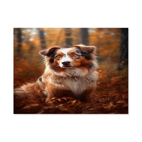 Australian Shepherd，Puzzle 1000 Teile für Erwachsene, Klassische Puzzle Puzzle Schwierig für Kid Surprise Birthday für Family Home Decor Art Puzzle（38x26cm）-F66 von GSBRSNTS