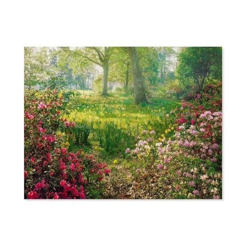 Blumenwiese，Puzzles 1000 Teile für Erwachsene, Klassische Puzzle Teenager Puzzle Perfektes Pädagogisches Geschenk für Jungen Und Mädchen（38x26cm）-A61 von GSBRSNTS