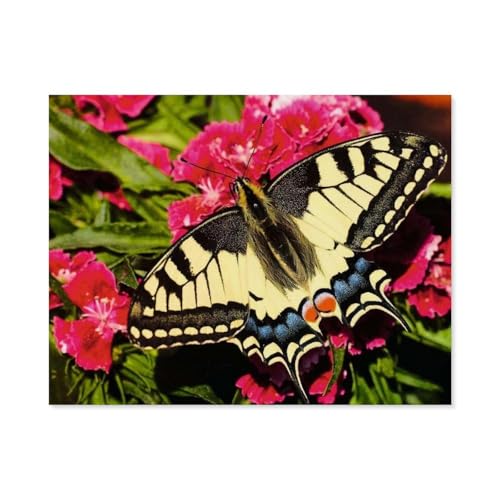 Colorful Animals - Schmetterling，Puzzles für Erwachsene 1000 Teile, Klassische Puzzle Puzzle Schwierig für Erwachsene Teenager Freizeit Spaß Spiel Spielzeug （50x70cm）-B30 von GSBRSNTS