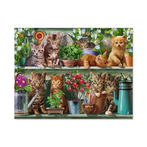 Erwachsene Puzzle 1000 Stück DIY Holz pielzeug，Katzen im Regal，Creative Einzigartiges Geschenk Persönlichkeit Spiel Erwachsener Kind Puzzle Spielzeug（75x50cm）-A97 von GSBRSNTS