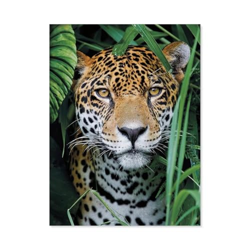 Jaguar In The Jungle，Puzzle 1000 Teile Erwachsene Kinde Spaß Lernspielzeug Geschenke（38x26cm）-C18 von GSBRSNTS