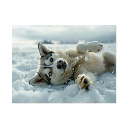 Jigsaw Puzzles 1000 Stück，Husky liegt im Schnee，Für Holzkinder Spiele Lernspielzeug（75x50cm）-F92 von GSBRSNTS