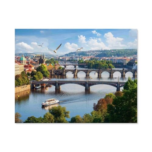 Klassisches Puzzle 1000 Teile，Prag, Tschechische Republik，Kind Oder Einen Freund,1000 Piece（75x50cm）-D28 von GSBRSNTS