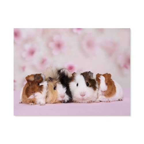 Meerschweinchen，Puzzle 1000 Teile Papier Puzzle Geeignet Für Erwachsene Kinder Familien Stressabbau Puzzlespiele（38x26cm）-F76 von GSBRSNTS