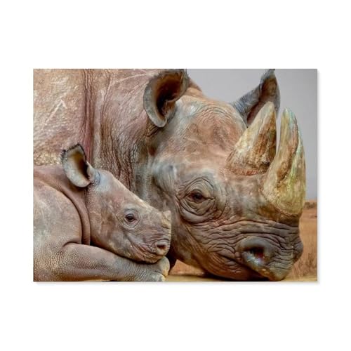 Nashorn，Puzzle 1000 Teile Erwachsene Kinde Spaß Lernspielzeug Geschenke（38x26cm）-G56 von GSBRSNTS