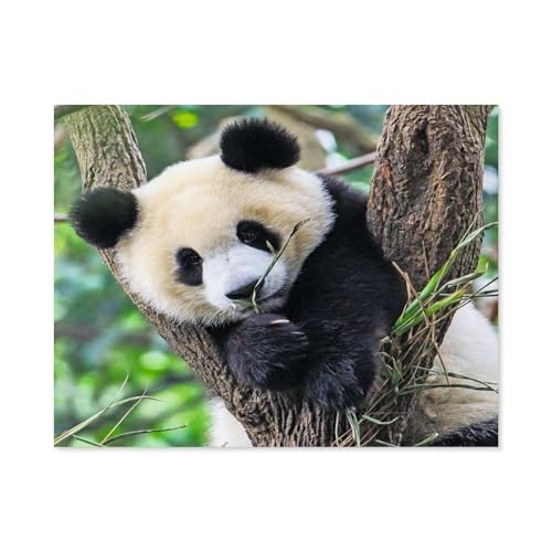 Papier Puzzle 1000 Stück，Panda，Puzzles Lernspielzeug Für Erwachsene Geburtstagsgeschenk（38x26cm）-A86 von GSBRSNTS