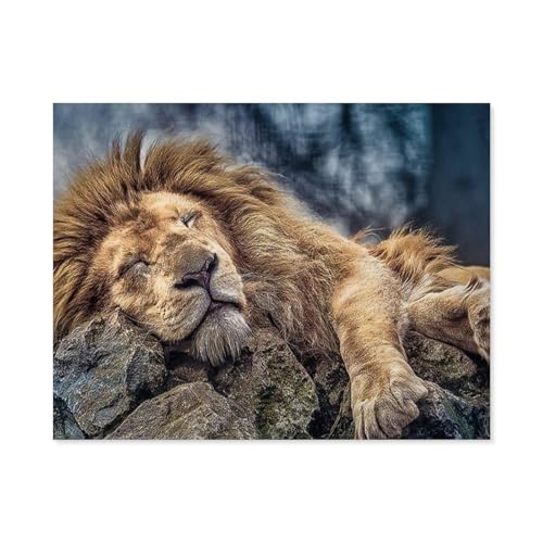 Puzzle，Sleeping Lion，Für Kinder Und Erwachsene Holz Personalisiertes Puzzle-Spaß-Spiel 1000pcs（75x50cm）-D86 von GSBRSNTS