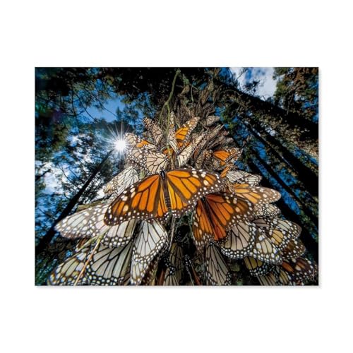 Puzzle 1000 Stück，Monarch Butterflies，Papier Kinderspielzeug Dekompression Spiel（38x26cm）-C96 von GSBRSNTS