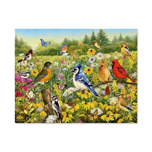 Puzzle 1000 Teile，Vogelwiese，Holz Kinder Wiedergeboren Dekompressionsspiel（75x50cm）-A93 von GSBRSNTS