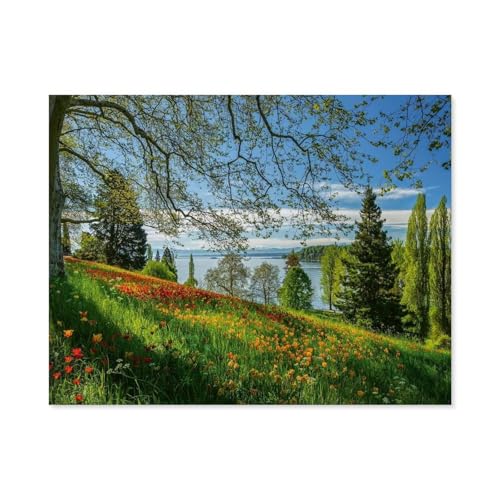 Puzzle 1000 Teile DIY Holz Puzzle，Frühlingsallee zur Tulpenblüte, Insel Mainau，Freizeit Creative Kreuzworträtsel Spiel Kind Puzzle Spielzeug Geburtstag Festival Einzigartiges Geschenk（75x50cm）-E84 von GSBRSNTS