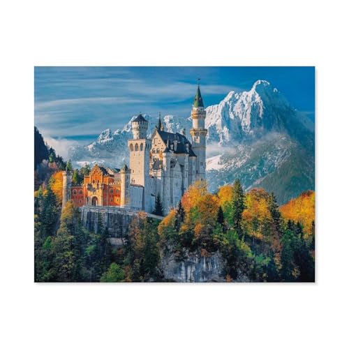 Puzzle 1000 Teile Erwachsene，Neuschwanstein Castle，Papier Puzzle（50x70cm）-C51 von GSBRSNTS