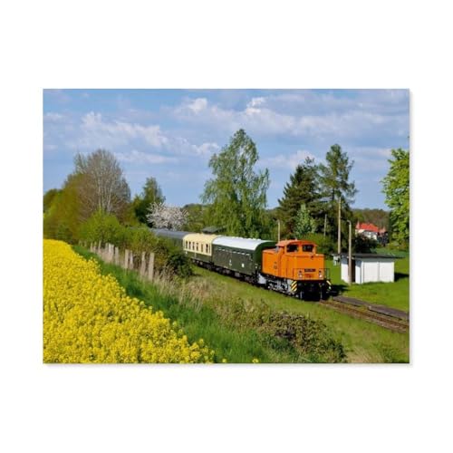 Puzzle 1000 Teile Holz，Oberlausitzer Eisenbahnen，Dekompression Der Erwachsenen，Kinderpuzzle Spiele Ab 8 Jahren, Spielzeug Für Mädchen Jungen Teenager（75x50cm）-G28 von GSBRSNTS