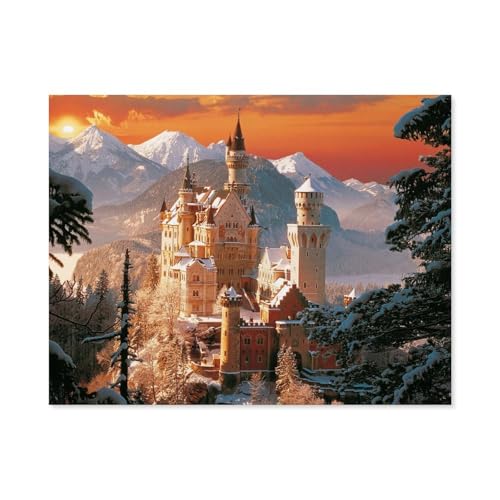 Puzzle 1000 Teile für Erwachsene，Winterliches Neuschwanstein, Deutschland，Puzzle Teenager Jungen Mädchen Puzzle Schwieriges, Herausforderndes Puzzle für Partyspiele（38x26cm）-D39 von GSBRSNTS