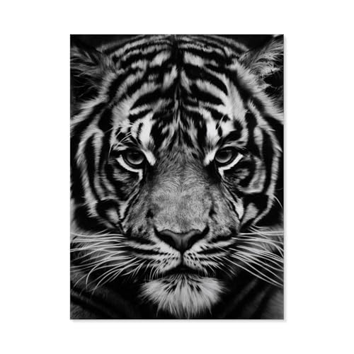 Schwarz-weißes Tiger，Puzzle 1000 Teile,Intellektuelle Entwicklung Pädagogisches Nach Hause Interessante Dekompression Brain Challenge Puzzle Für Jugendliche Kinder（75x50cm）-C15 von GSBRSNTS