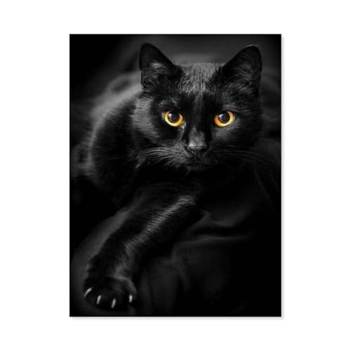 Schwarze Katze，Puzzles für Erwachsene 1000 Teile, Klassische Puzzle Puzzle Schwierig für Erwachsene Teenager Freizeit Spaß Spiel Spielzeug （50x70cm）-C3 von GSBRSNTS