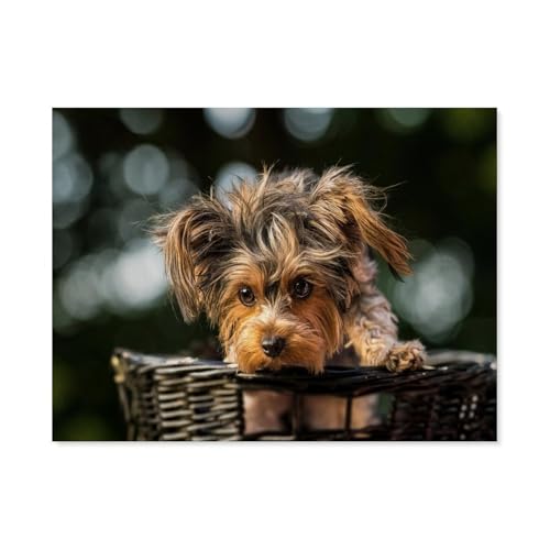 Welpen-Yorkshire-Terrier-Yorkie-Terrier，3D Puzzle 1000 Stück, Holz Montiert DIY Puzzle Montage Spielzeug Für Kinder, Holz Puzzle Holz Geschenk（75x50cm）-F4 von GSBRSNTS