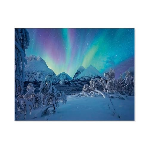 Wenn die Nordlichter tanzen，1000 Teile Puzzle Erwachsene Dekompressionsspielzeug Erwachsene Ideales Pädagogisches Puzzle Erwachsene Spiele Geschenk（75x50cm）-A68 von GSBRSNTS