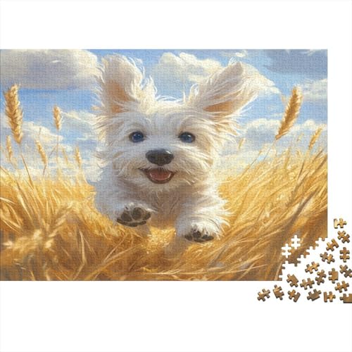 Maltesischr Hund Puzzle 1000 Teile Erwachsener Kniffel Spaß Für Die Ganze Familie - Abwechslungsreiche 1000 Puzzleteilige Motive Puzzlespiel Erwachsene, Puzzel 1000pcs (75x50cm) von GTDKSUEVG