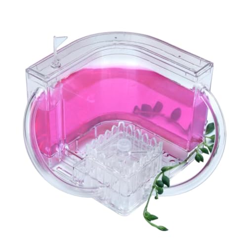 Ameisenfarm Ameisennest Ameisenburg-Beobachtungsset, Ameisenfarm, Durchscheinendes Gel, Ameisenzuchtset, Ameisennest, Farm, Ameisenlebensraum, Wissenschaft Ameisenhaus Ameisen Zucht Box(Pink) von GTGXZX