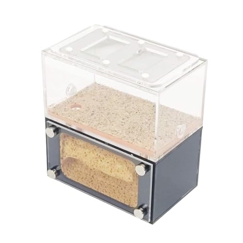 Ameisenfarm Ameisennest Ant Castle Mit Fütterungsbereich Acryl Ant Nest Farm Leicht Zu Beobachten Workshop Ant Terrarium Pädagogisches Ameisenhaus Ameisen Zucht Box von GTGXZX