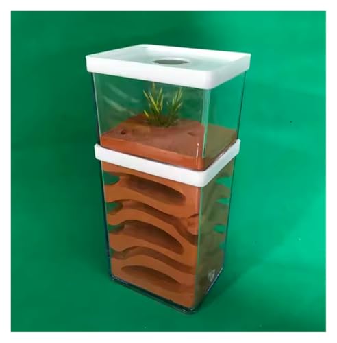 Ameisenfarm Ameisennest Ant Castle Transparent Kunststoff Ant Farm Gips Ant Werkstatt Ant Nest Farm Fütterung Box Ant Nest Castle Ameisenhaus Ameisen Zucht Box von GTGXZX