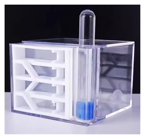 Ameisenfarm Ameisennest Ant Haus Ant Farm Acryl Transparent Ant Beobachtung Verhalten Studie Ameisen Und Königin Bildung Ant Nest Ameisenhaus Ameisen Zucht Box von GTGXZX