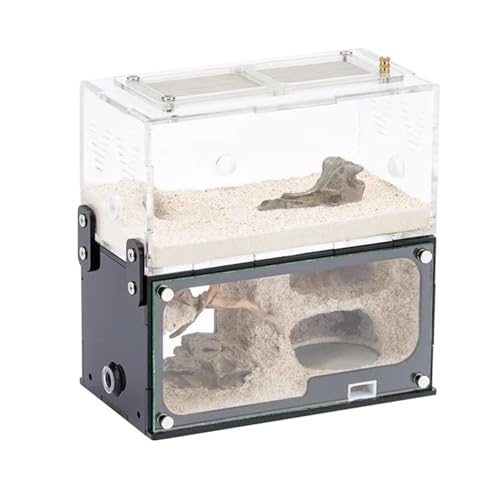 Ameisenfarm Ameisennest Erweiterung Ant Nest Ant Farm Befeuchten Formicarium Box Ameisen Haus Acryl Insekten Villa Werkstatt Pädagogisches Ameisenhaus Ameisen Zucht Box von GTGXZX